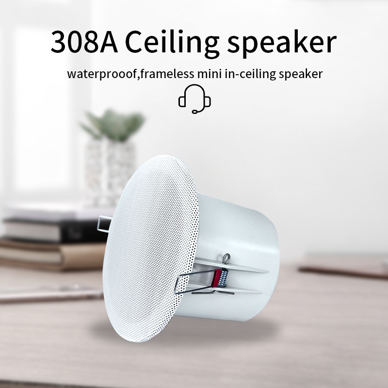 Audio Music In Background - Altavoces de techo con sistema de
