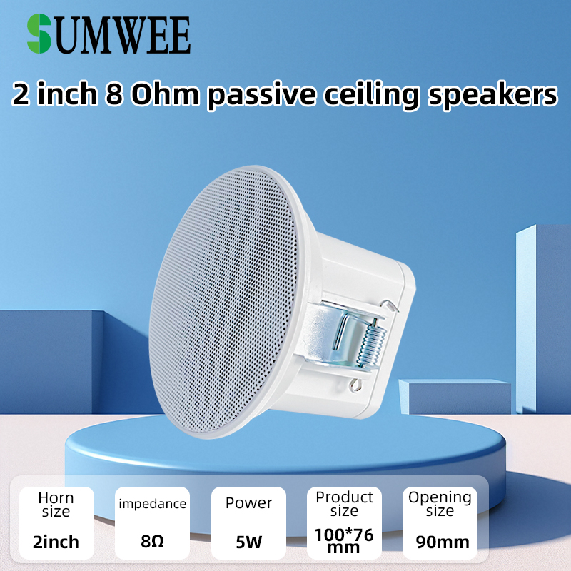 Audio Music In Background - Mini Altavoz de Techo de 2