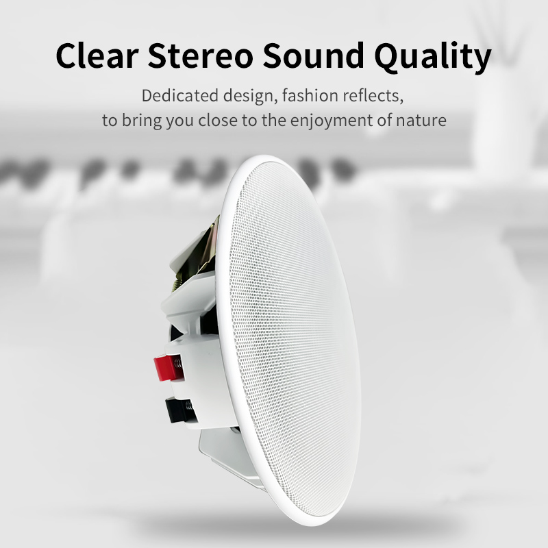 Altavoz de Techo de 6 Pulgadas - Audio Music In Background reseña y precio