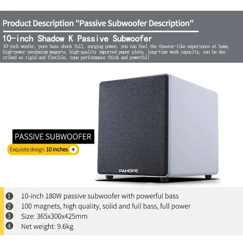 Sistema de Altavoces de Techo  - Audio Music In Background reseña y precio