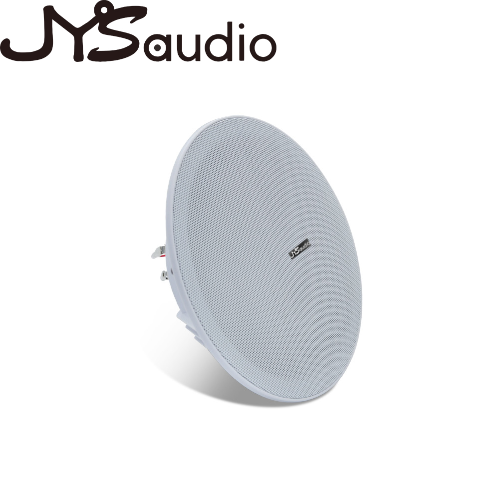 Altavoz de techo de 20W, altav - Audio Music In Background reseña y precio