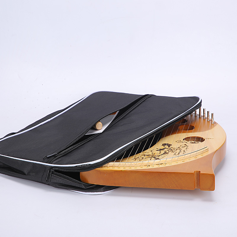 Bolsa de Transporte para Lira, - Music Stand Folding reseña y precio
