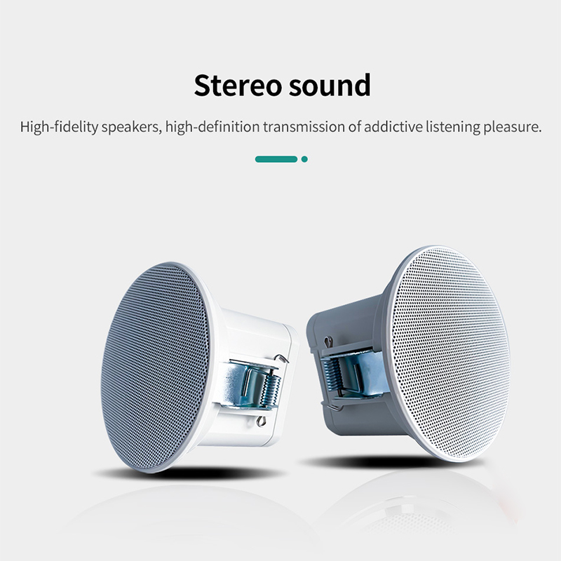 Mini Altavoz de Techo de 2 Pul - Audio Music In Background reseña y precio