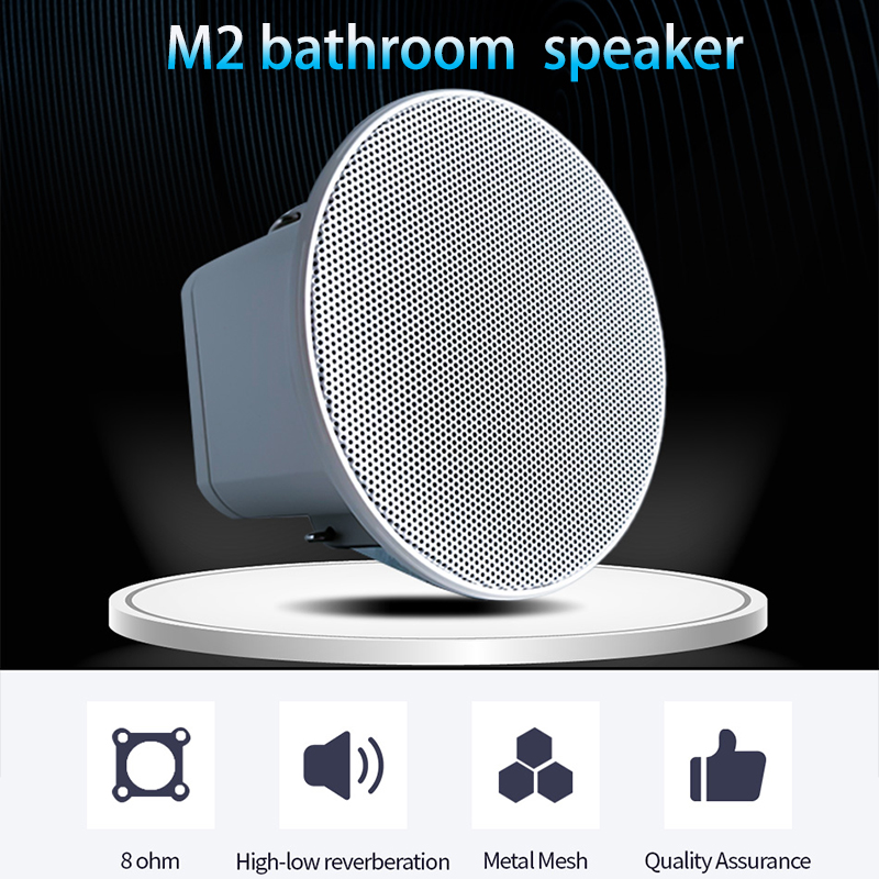 Mini Altavoz de Techo de 2 Pul - Audio Music In Background reseña y precio